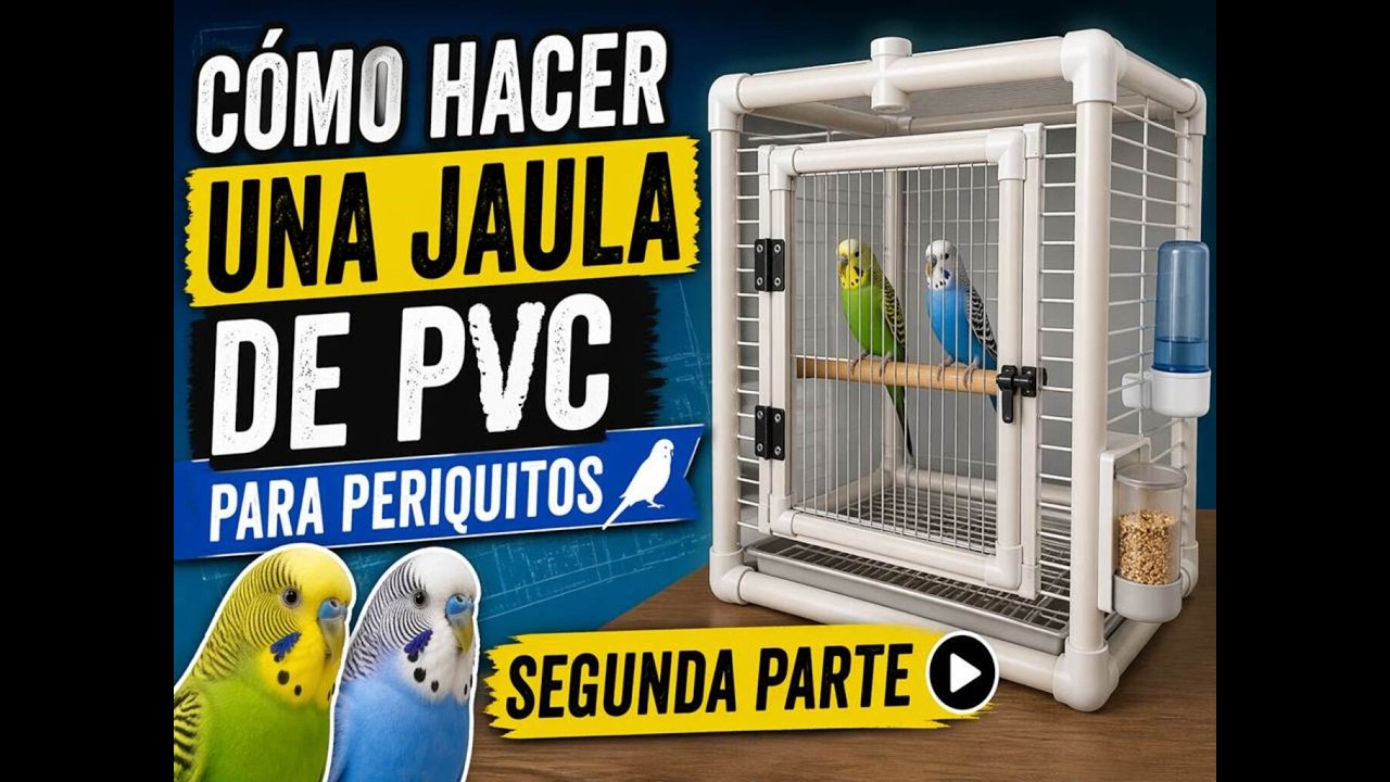 Cómo hacer una 𝕁𝔸𝕌𝕃𝔸 de PVC segunda PARTE
