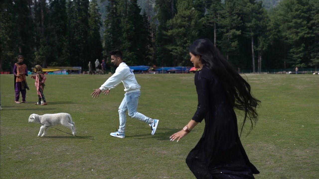 Bechare se ek sheep nahi pakdi ja rahi 😂