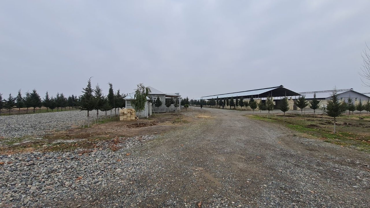 Kürdemir İmişli Yolunda 100 Hektar Ərazide Ferma Satilir 070 300 31 09