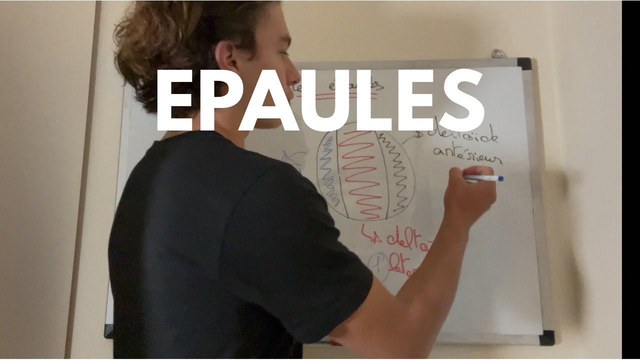 Comment avoir de grosses épaules