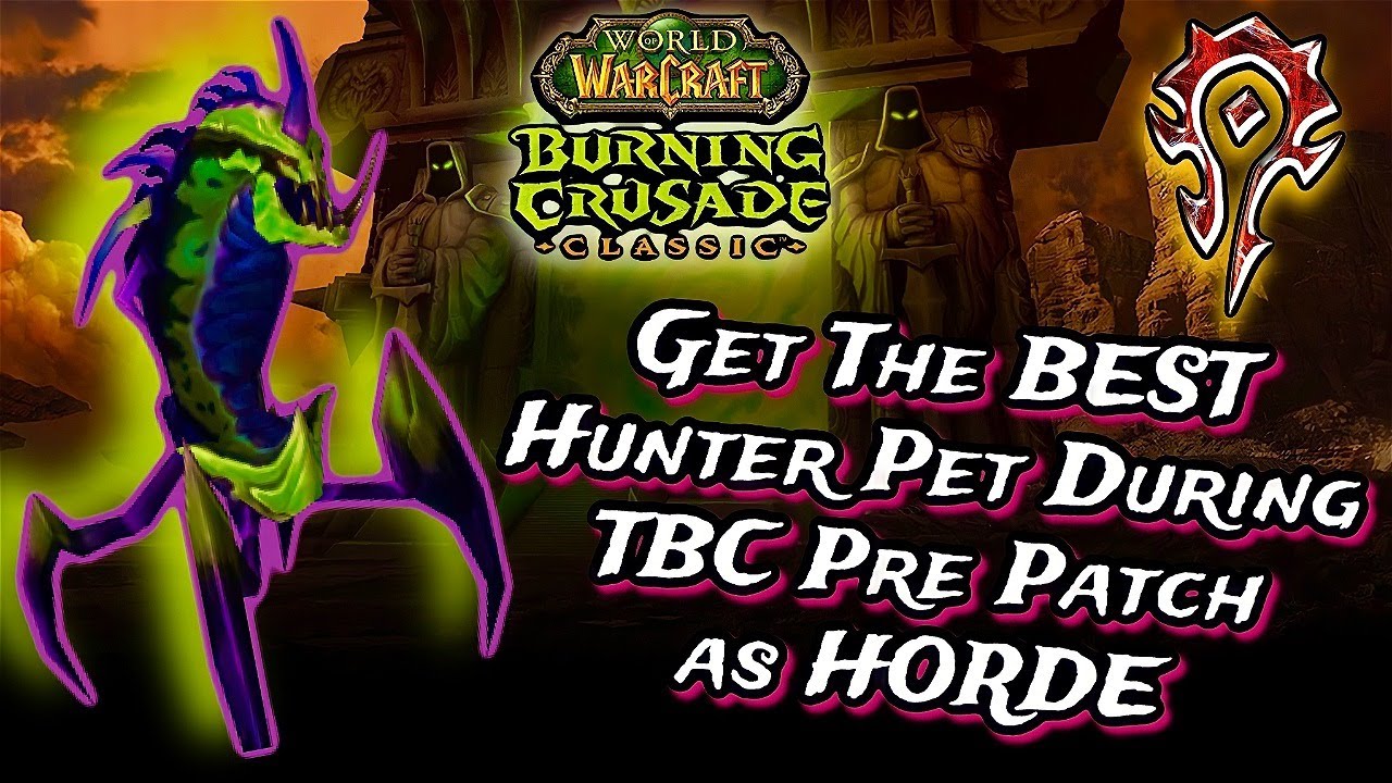 How to get the BEST Hunter Pet in TBC Before 60 - Getting to Azuremyst & Bloodmyst Isle as HORDE