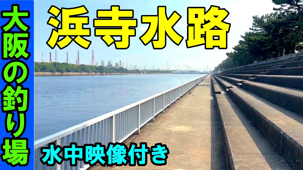大阪の浜寺水路の釣り場を紹介！水中映像でポイントを攻略