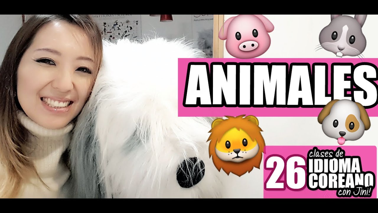 LOS ANIMALES EN COREANO | Clase 26 - JiniChannel