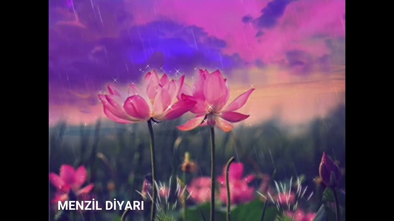 Kalbin Amelleri (Gizli Şirk) Önemli Sohbet Sofiler
