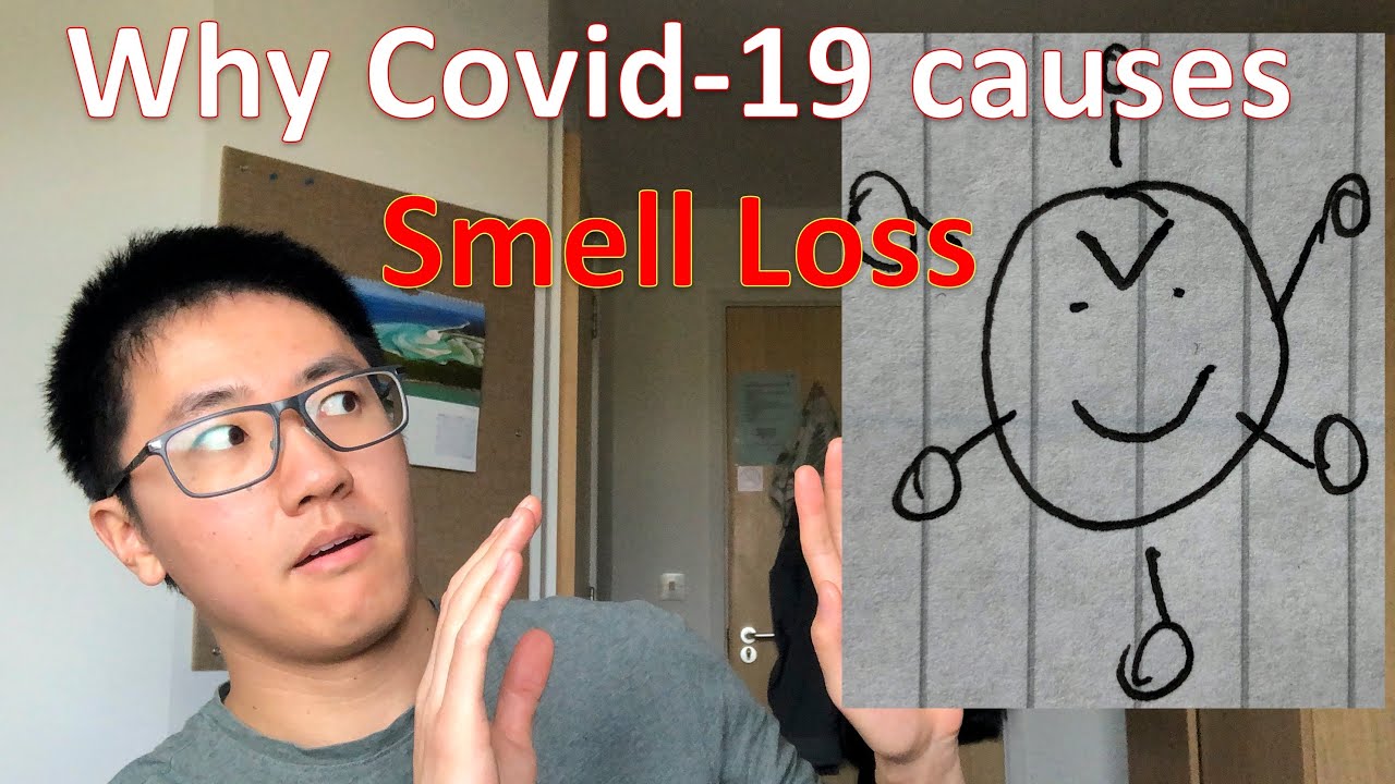 Why does Covid-19 cause Smell Loss (anosmia)? What are the recovery times?