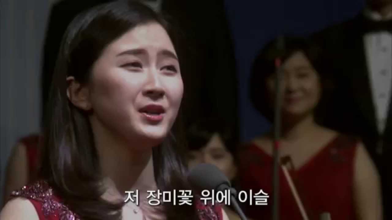 저 장미꽃 위에 이슬
