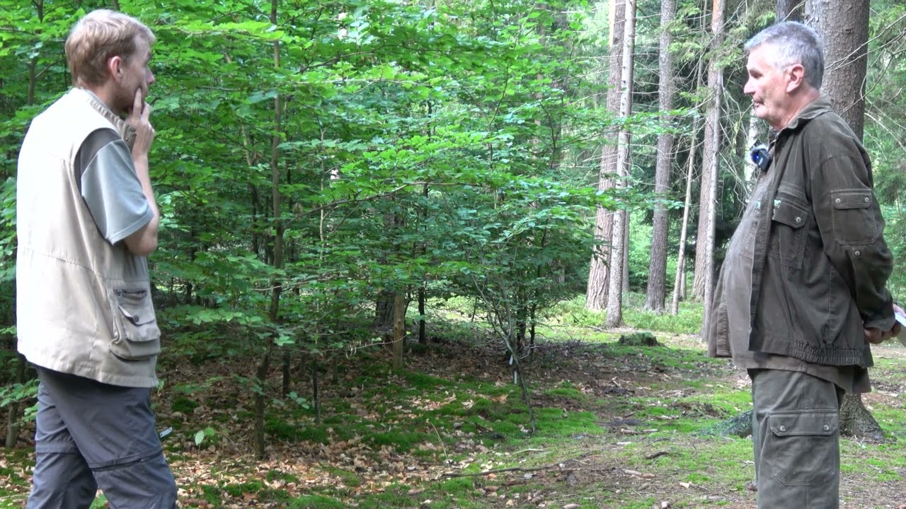 DO Klokočná - Výběrné hospodaření ve středních polohách