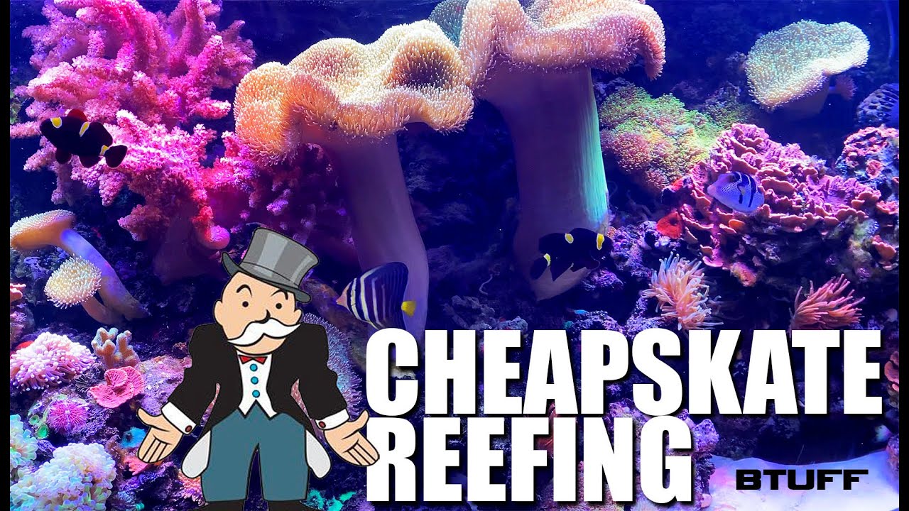 Reefing for cheapskates and broke people