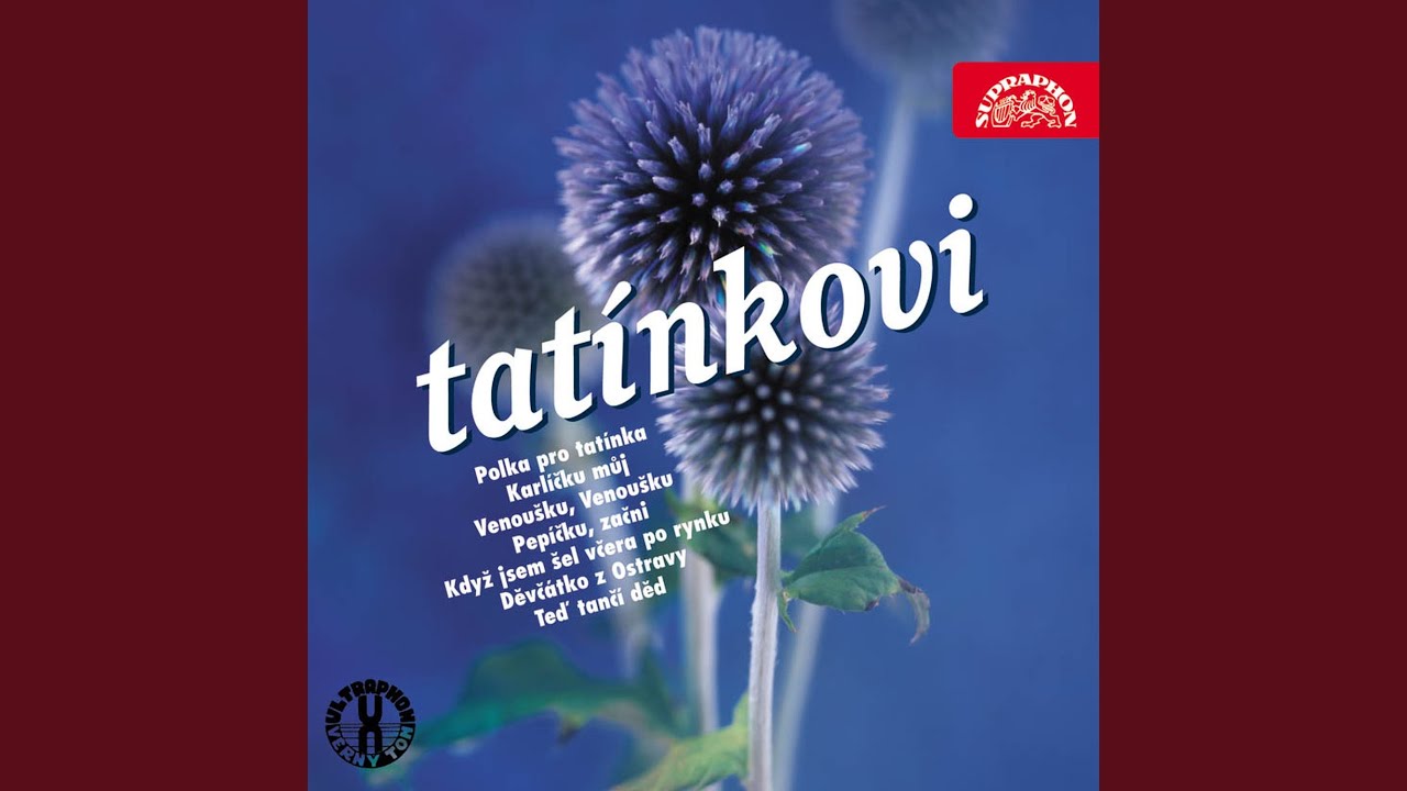 Pro tat&iacute;nka