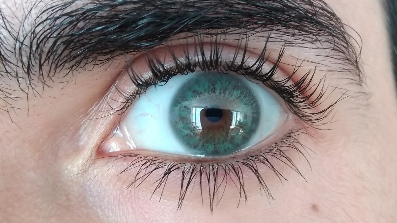 Siesta Crystal Halo Green con luz natural y artificial 11° Matiné de Reseñas