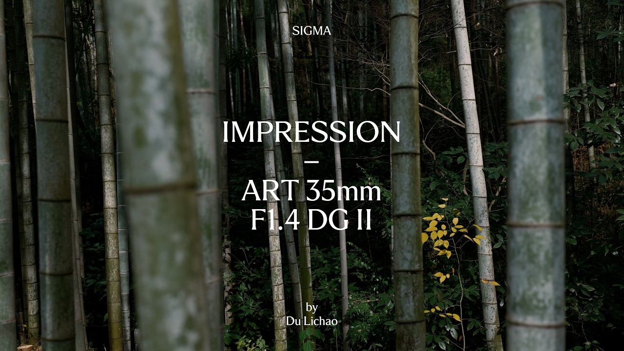 35mm F1.4 DG II | Art by Du Lichao