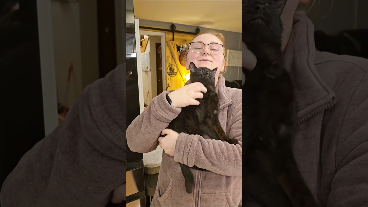 Этот день меня просто сломил 😭❤️&zwj;🩹💔❤️