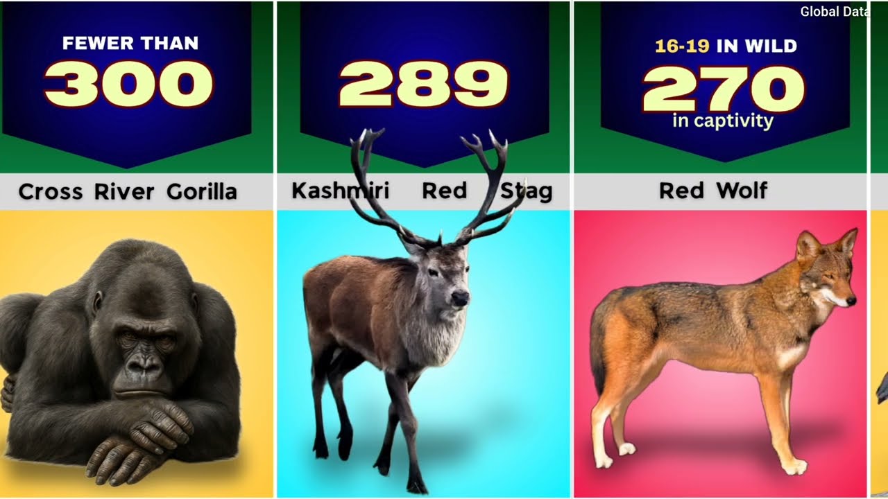 Most Endangered Species 2025