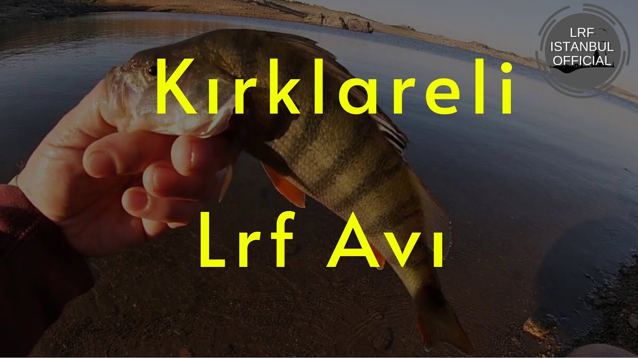 ‼️KIRKLARELİ’NDE LRF‼️KAYALI BARAJI'NDA LRF PERCH AVI!!
