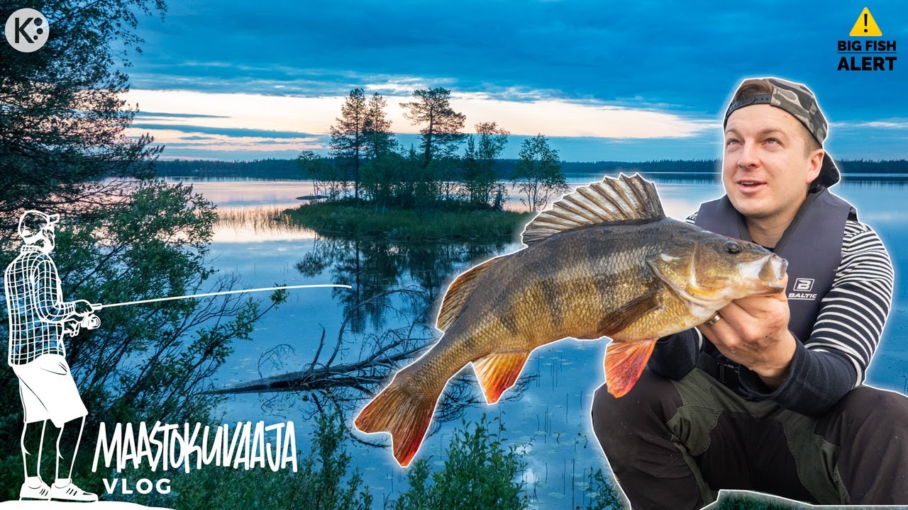 Per&auml;pohjolan suurahvenet - 1,5 kg kruunasi reissun