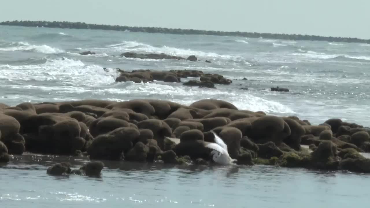 Bathtub Beach in Martin County back open after 18 months