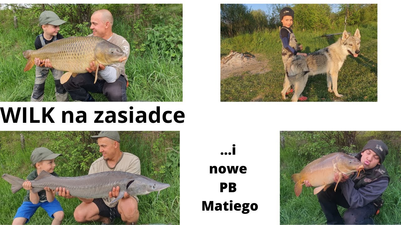 WILK na zasiadce...i nowe PB Matiego