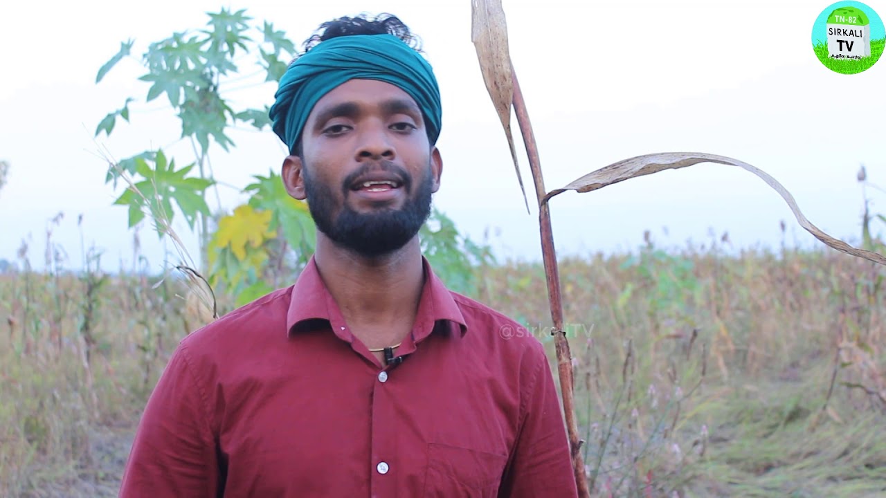 சிறுதானியம் சாகுபடி மற்றும் வகைகள் | அதிக லாபம் தரும் வரகு சாகுபடி | Types Of Millets | Kodo millet