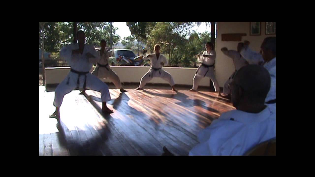 Treino de Karate Gojuryu com Kyoshi Benedito Nelson - Parte III - Kihon
