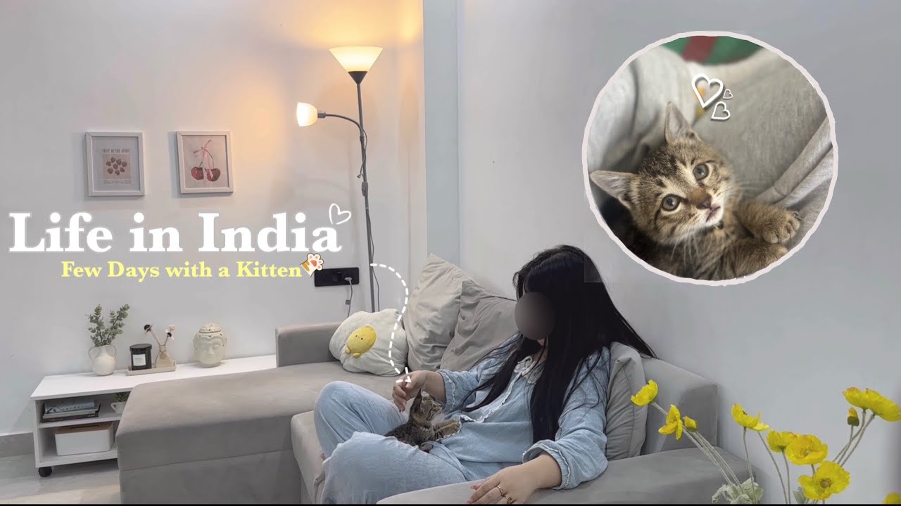 [VLOG] Living with a kitten for few days || My Friends adopted a kitten || Life in India ||