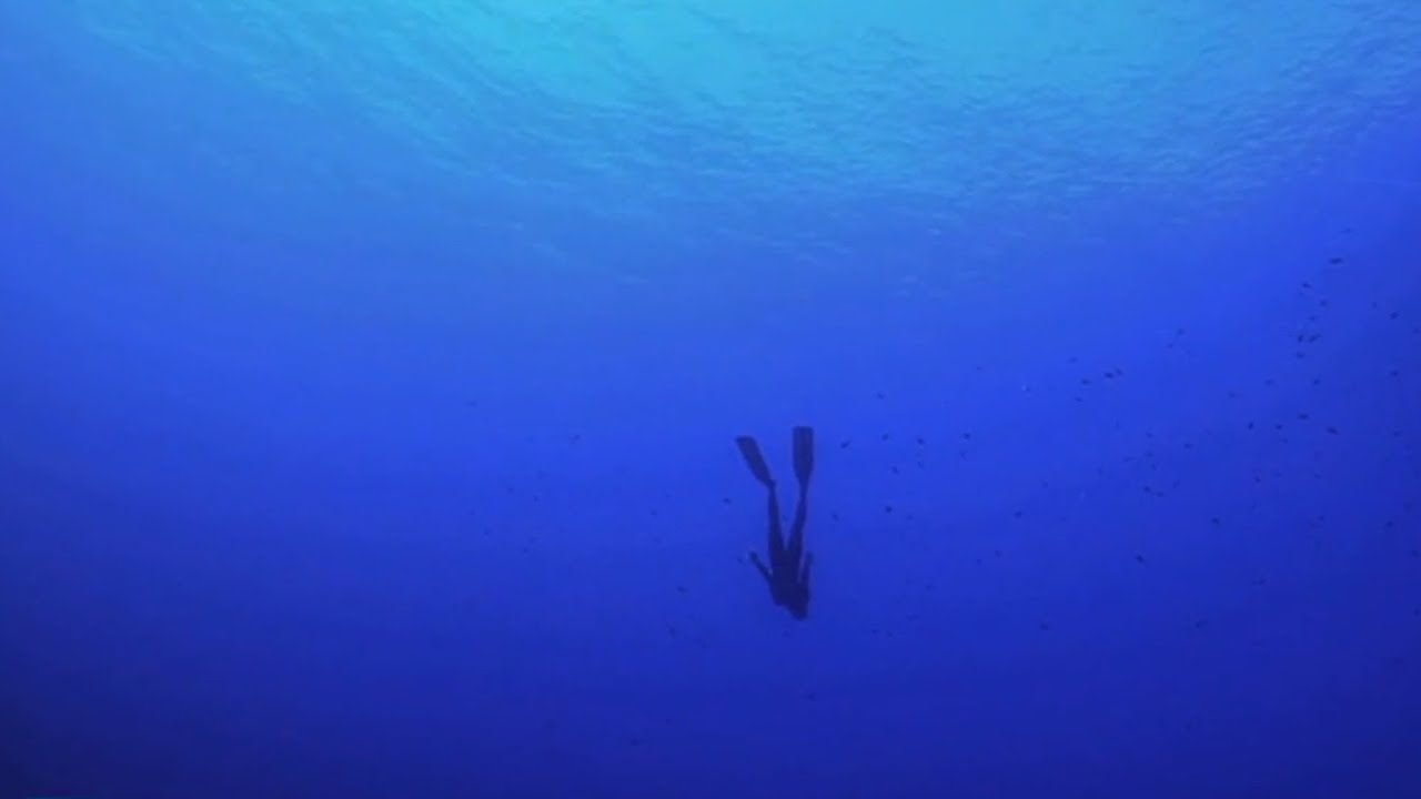 Reportage sur l'Odyssée Bleue - Protégeons nos mers et oceans // Let's protect our seas and oceans