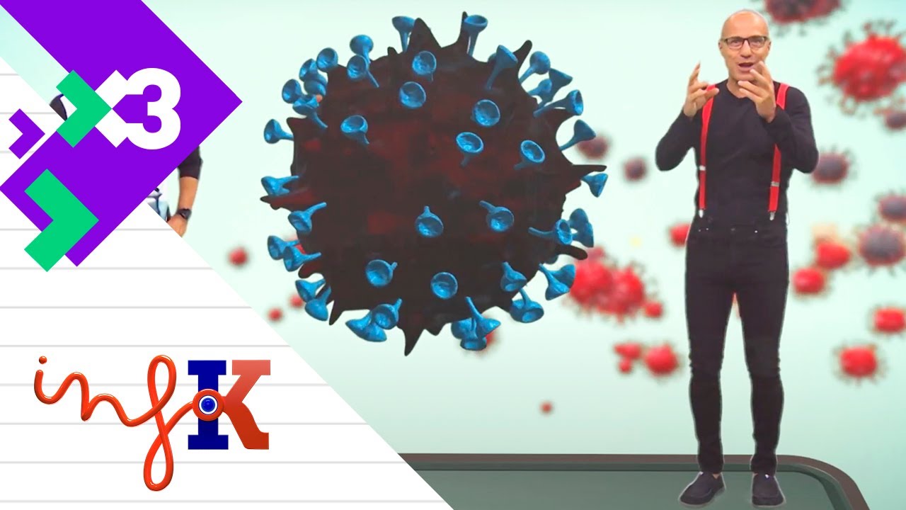 Història dels virus - InfoK