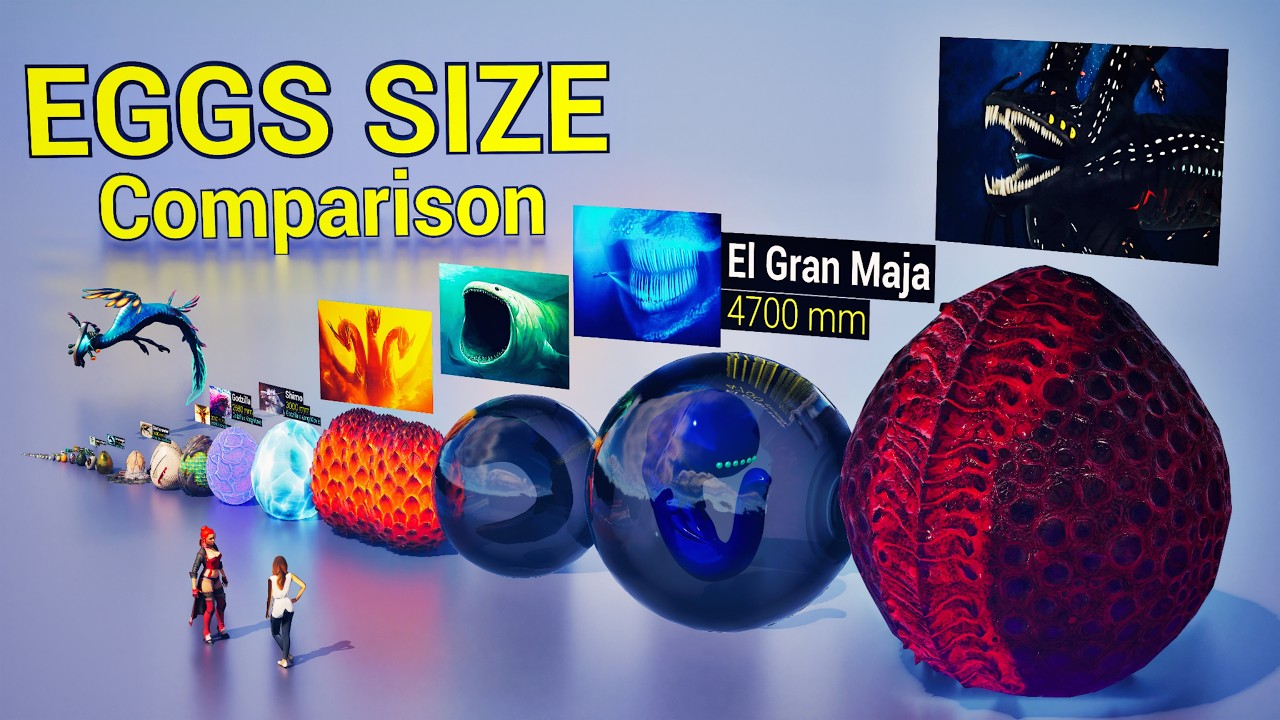 Eggs Size Comparison 3D | Bloop - El Gran Maja | Animal eggs