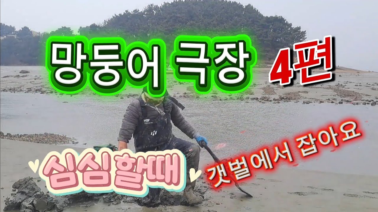 심심할때 갯벌에서 잡아요