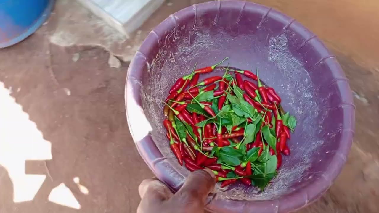 Typical village life in nyabohanse 