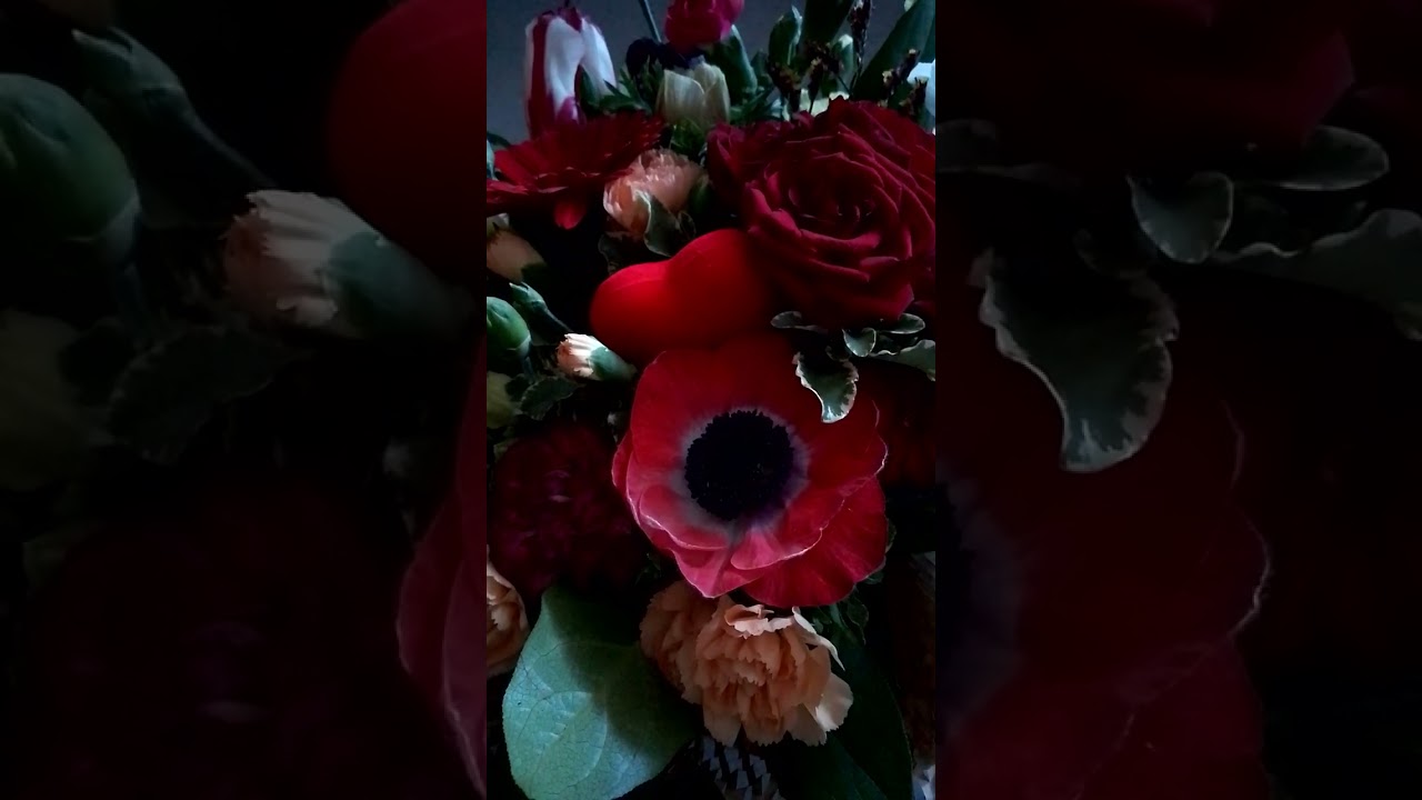 Si, mi chiamano Mimi - La Boheme- G. Puccini