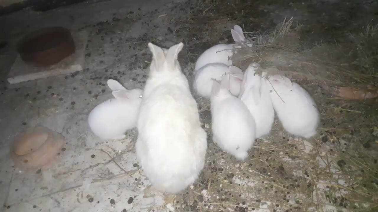 ٨ مارس ٢٠٢٦