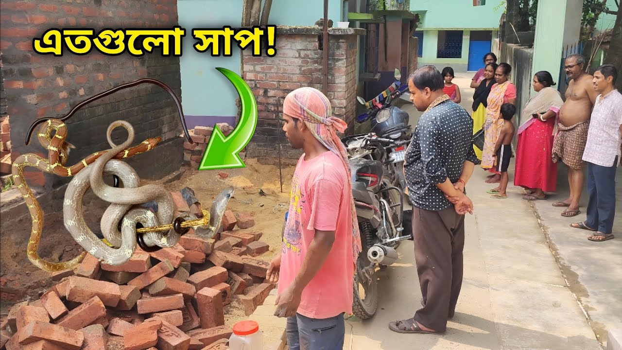 বড় বড় সাপ দেখে মিস্ত্রিদের কাজ বন্ধ! সাপের সংসার দেখে অবাক পাড়ার লোকজন! #snakevideo #rescue