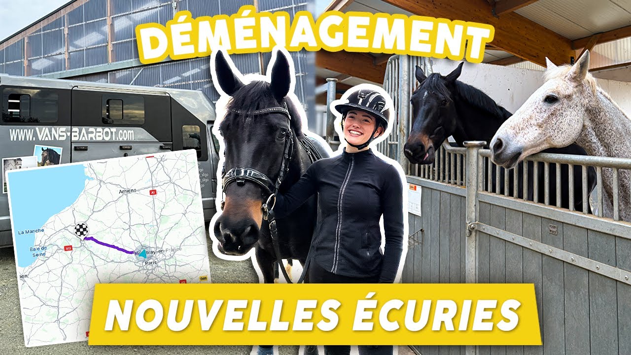 Je change d'écurie : vlog déménagement avec mes trois chevaux dans une nouvelle région !