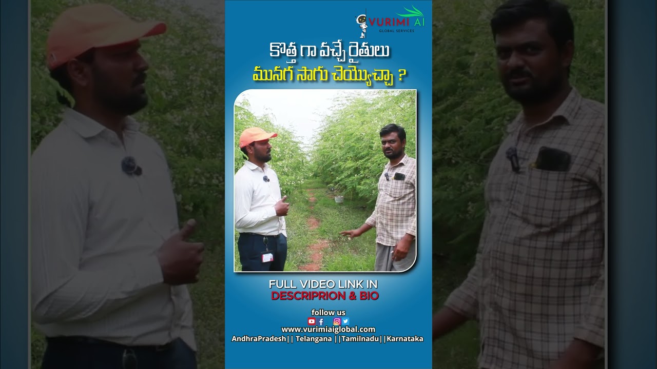 మునగ సాగుతో 4లక్షలకు పైగా ఆదాయం | Moringa farming | Drumstick Farming | Vai Agri Helpers . #shorts