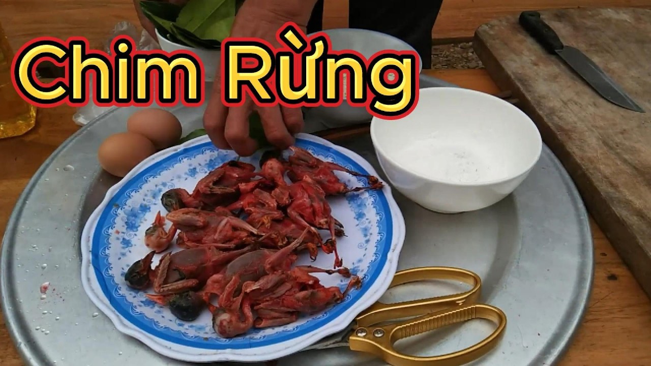 Bẫy Được Chim Rừng Mang Về Chiên Giòn Bữa Ăn Đậm Vị Núi Rừng
