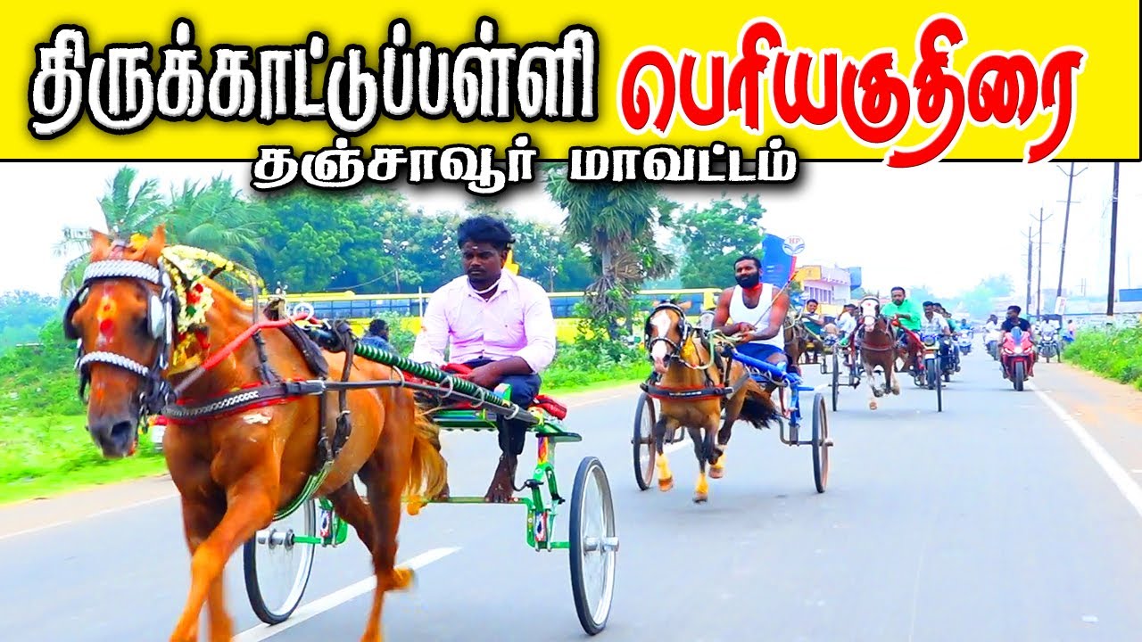 தஞ்சாவூர் மாவட்டம் திருக்காட்டுப்பள்ளி  பெரியகுதிரை பந்தயம் 16-11-.2025