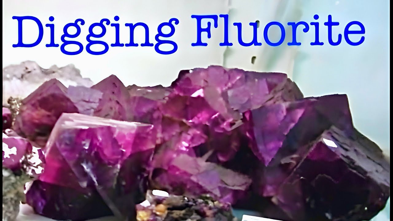 The Crystal Collector digs Fluorite Crystals in Kentucky *Ben Clement Museum*