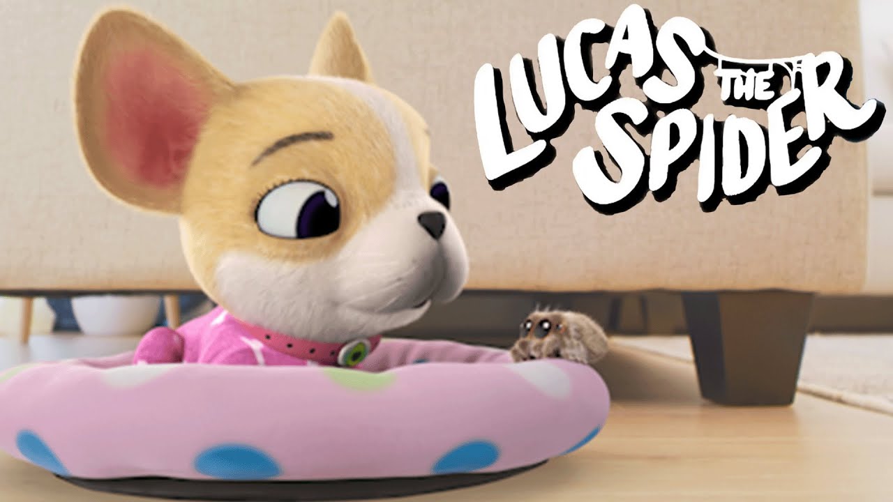 Meet Lucas the Spider's Friend Avocado