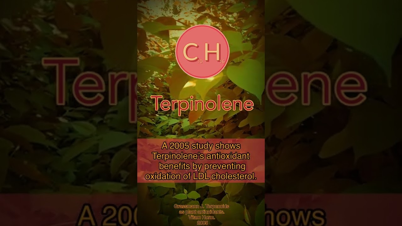 Terpinolene ~ Terp Profile