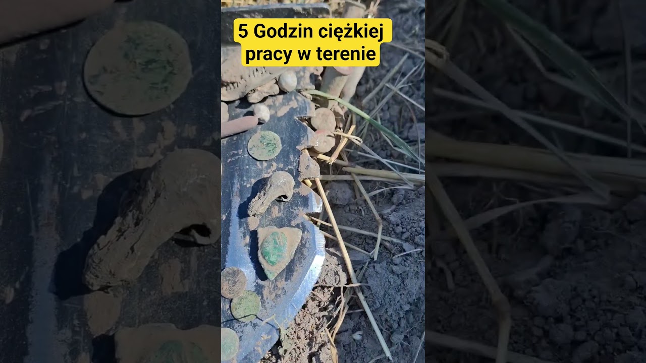 Realia Poszukiwań Skarb&oacute;w  #xpdeusii