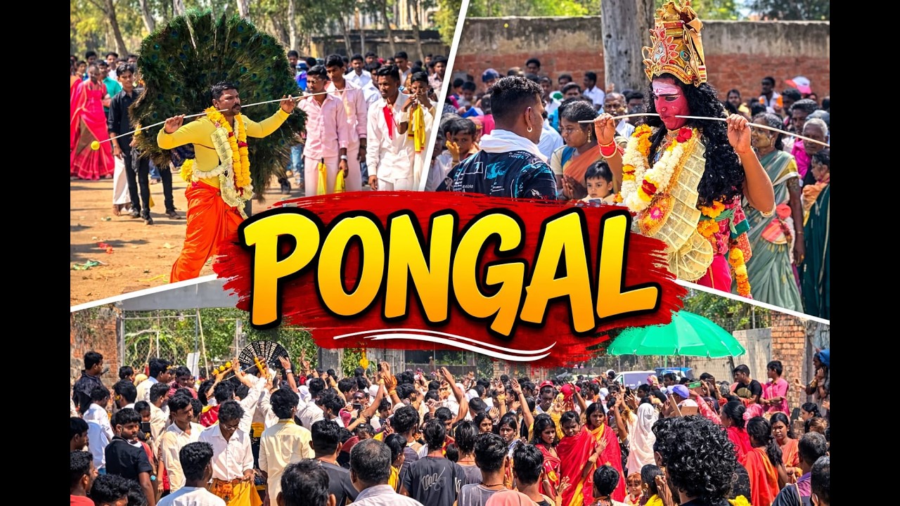 Pongal Celebration || Vlog 8 || 100 days daily vlog ||