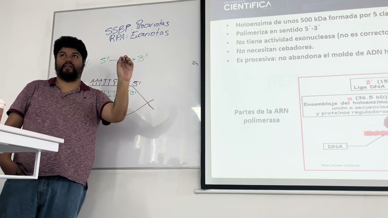 bioquímica 14 3