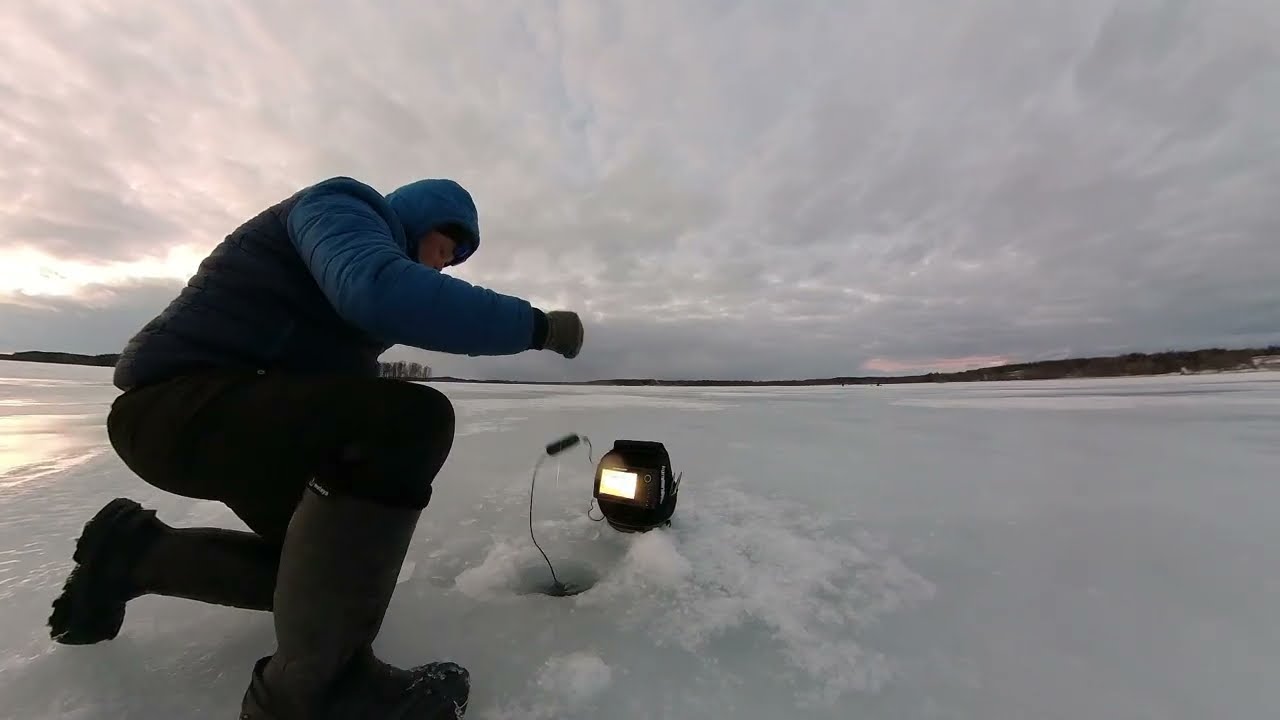 Iltapäiväreissu Simpelejärvelle / Kuha aktivoituu kevään myötä / 2023