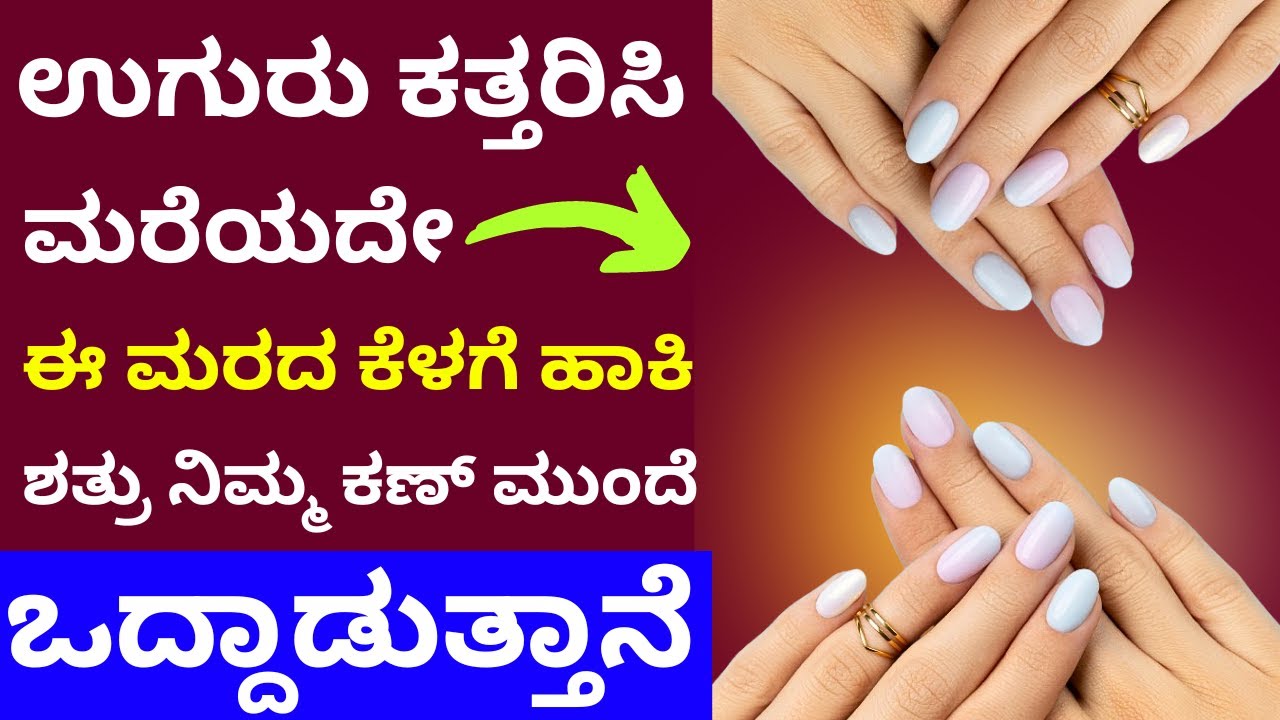 ಉಗುರು ಕತ್ತರಿಸಿ ಈ ಮರದ ಕೆಳಗೆ ಹಾಕಿ ನಿಮ್ಮ ಶತ್ರು  ವಿಲವಿಲ ಒದ್ದಾಡ್ತಾನೆ nail remedy for shatrunash