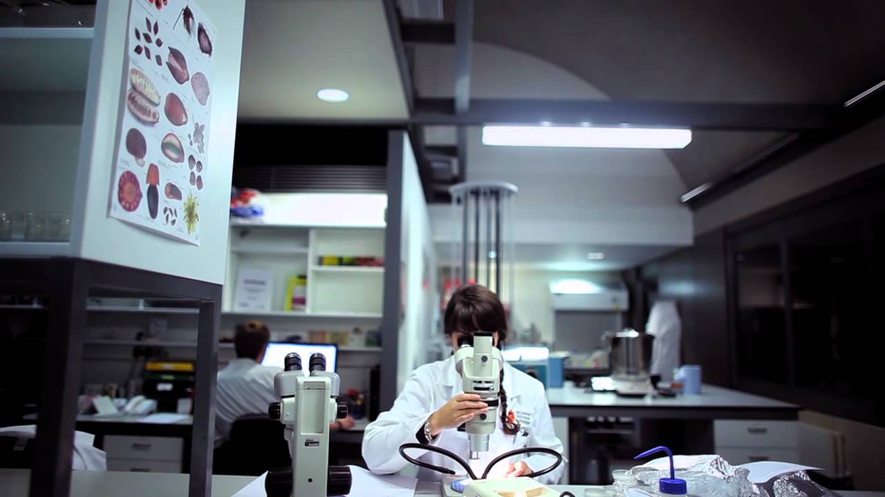 Beyond the Gardens: Millennium Seed Bank Partnership