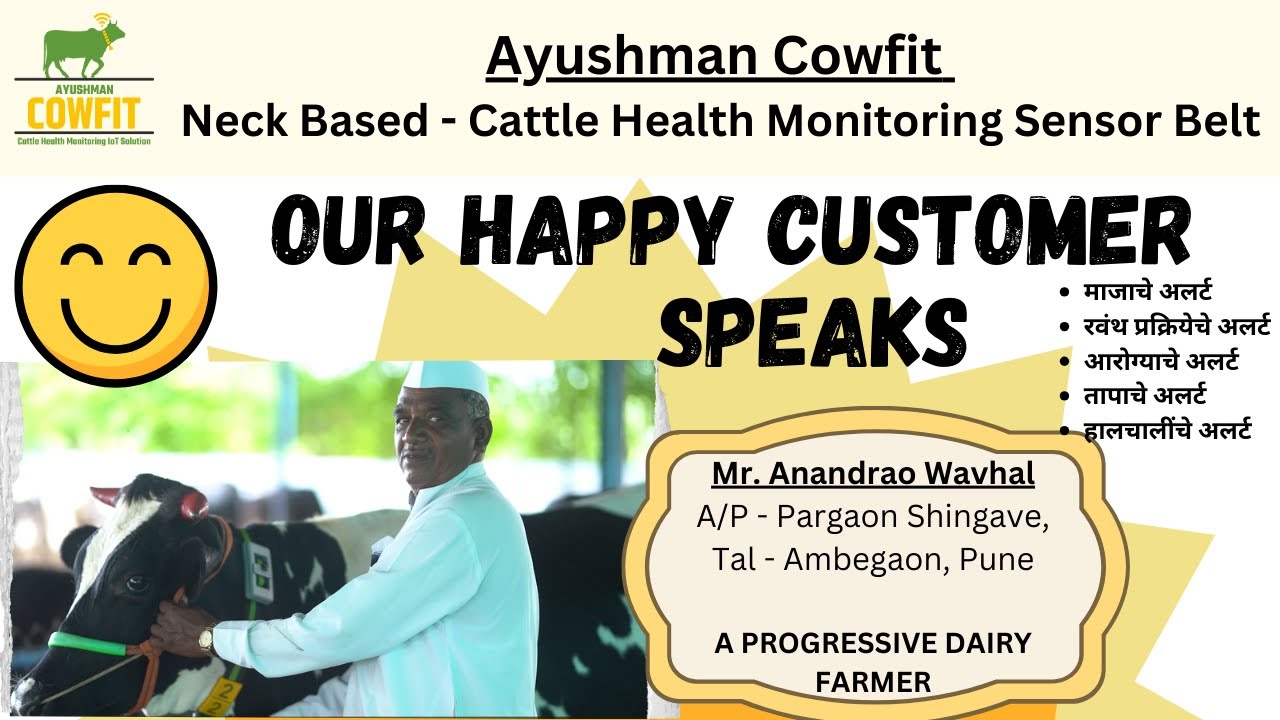 Ayushman Cowfit Neck Sensor Belt - Customer Success Story #cattlehealthmonitoringsystem
