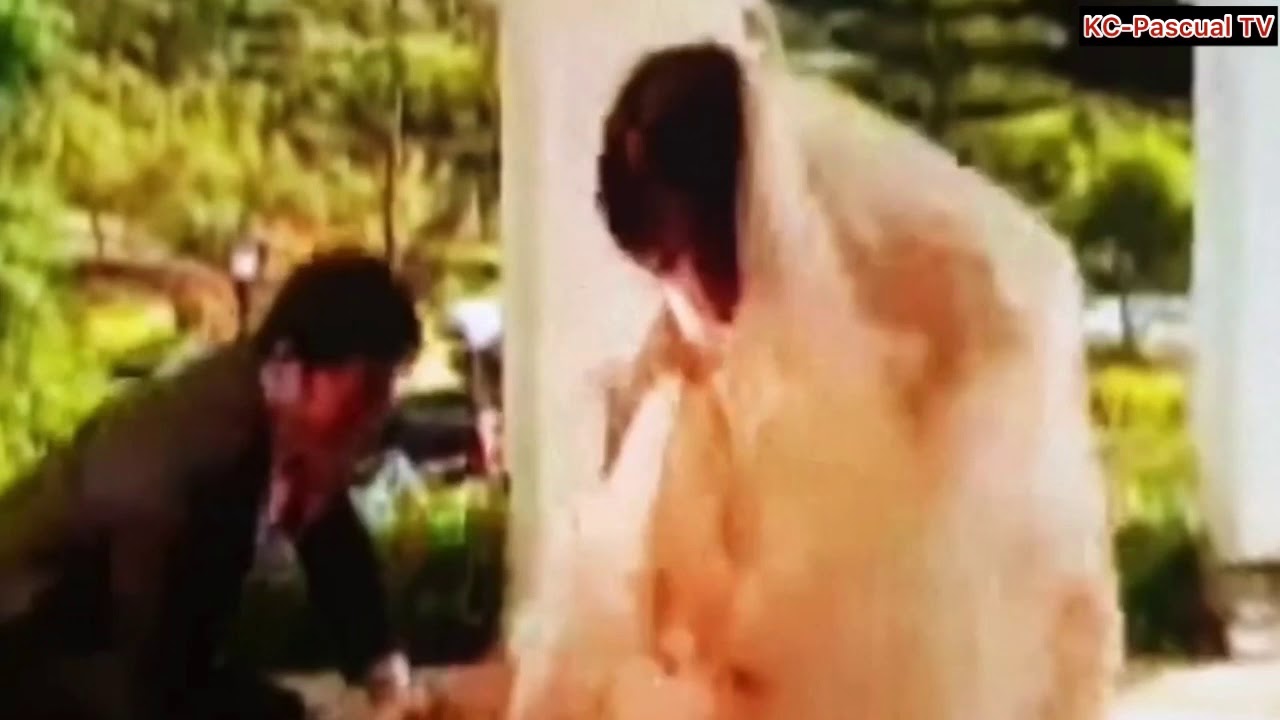 Kc Concepcion & Piolo Pascual the finale wedding