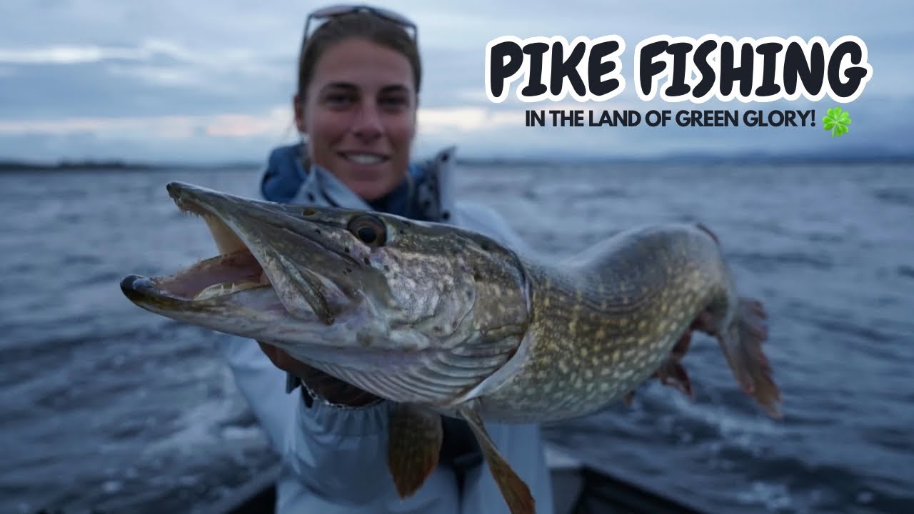 FISHING IN IRELAND! ARE WE GOING TO CATCH A METER PIKE?! #3