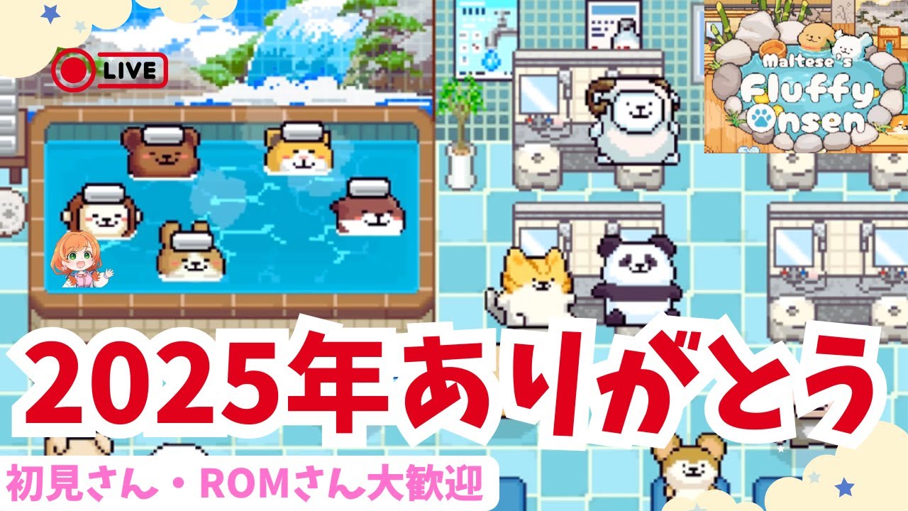 2025年ありがとう！忘年会で乾杯🍻【マルチーズとふわふわ温泉】ワイワイ雑談していくよ！
