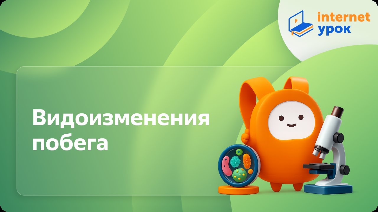 Биология 6 класс. Видоизменения побега